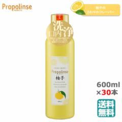 (30{Zbg)v|X Mq 600ml  () i[J[j