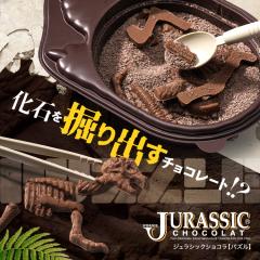  WVbNVR pY `R[g @ j[N  `R CX^f `R[gَq Mtg 񂹃XC[c 