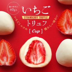  gt Cup 60g َq `R[g CX^f `R `R[gَq Mtg 񂹃O XC[c 