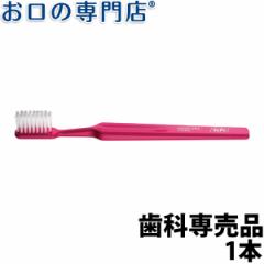 TePe ey f`[uV 1{ `p uV (TePe Denture Brush)y Ȑꔄizy[OKz