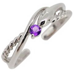 �C���[�J�t �w�r �� �ւ� ���f�B�[�X �m���z�[���s�A�X �Ў� �v���`�i �A���W�X�g �a���� 2��