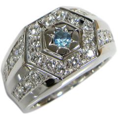 11���a���΃g�p�[�Y�E�V���o�[�E���E�w��