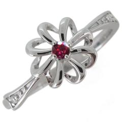 �w�� ���r�[ �t�����[ ���f�B�[�X �� ���{�� �V���o�[�����O 