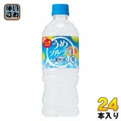 サントリー 天然水 うめソルティ 冷凍兼用 540ml ペットボトル 24本入 熱中症対策 ウメジュース 冷凍可能 自販機投入可能