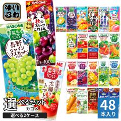 デルモンテ おろしりんご キウイブレンド 300g×20袋セット 送料無料 デルモンテ おろしりんごキウイブレンド300gスタンディング