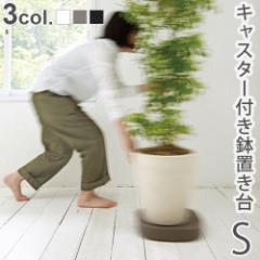 y14͓̂zeBfB v^u X[ tidy Plantable S [Aؔg[ LX^[  ϗtA u]