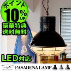 y12͓̂TtP10z nT pTfiv HERMOSA PASADENA LAMP [Ɩ  VƖ]