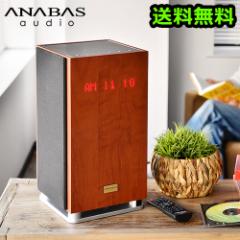 y14͓̂zAioX CDNbNWIVXe AA-001 ANABAS CD CLOCK RADIO SYSTEM