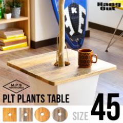 y12͓̂z vge[u PLT PLANTS TABLE  45TCY  T[N XNGA