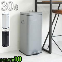 �S�~�� �ӂ��t�� �K���o �X�N�G�A �_�X�g �{�b�N�X 30���b�g�� Galva Square Dust Box 30L �_�X�g�{�b�N�X �_�X�g�J�� �X���� �ې�OK 