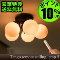 y12͓̂P10%Ttz{^jbN nMOCg MTCY [APE-021/M] BOTANIC Hanging light