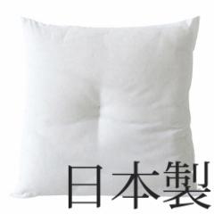 y14͓̂z NH[^[|[g Uug  [55~59cm] Quarter Report { zc
