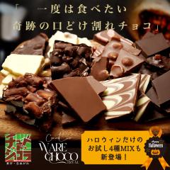 お試し 割れチョコ 送料無料 20種から選べる ※10月下旬頃の発送 チョコレート クーベルチュール チュベ・ド・ショコラ ギフ