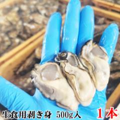 【P20倍に設定中】生食用 剥き身 牡蠣 宮城県産 「500g×1本 カキ むき身」松島牡蠣屋 カキフライに 牡蠣鍋に カキ 牡蠣 殻付き 殻付き