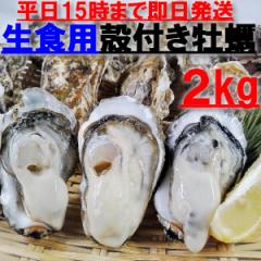 ５％クーポン有100枚限定】釣り餌に 「ムラサキイガイ１ｋｇ」冷凍品 １キロ イガイ カラス貝 ムール貝 釣りエサ クロダイ 黒鯛 チヌ の通販はau  PAY マーケット - 松島牡蠣屋 | au PAY マーケット－通販サイト