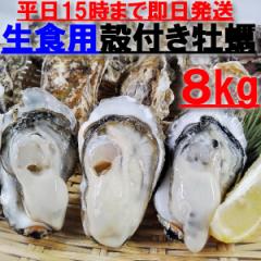 釣り餌に生出荷 ムラサキイガイ１０ｋｇ  ムール貝 イガイ カラス貝