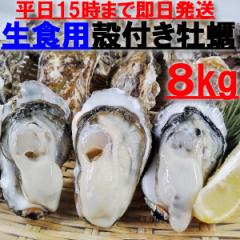 y5N[|LzuHp kt y Wvi56~140jyꕔtvmFz WL y kt a y kt {錧Y 