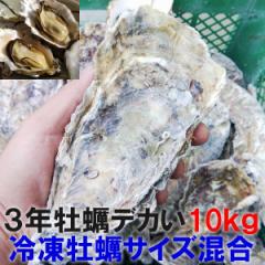 【15%ポイントと5%クーポン有】デカい牡蠣 殻付き 牡蠣 3年牡蠣 10kg 冷凍便 送料無料10キロ 宮城県産 殻付き牡蠣 殻付き 殻付