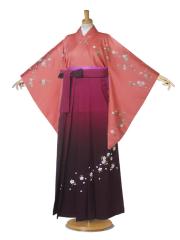  ڑ  ^ ݈ߑ ԁ~C~{JV~hJ  w Ή u[cI