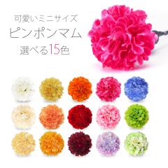 ���킢�� �����ȃs���|���}���y�~�j�z�I�ׂ�15�F�J���o�� ������ U�s�� ���f�B�[�X ���܎O ���l�� ���� ���Ǝ� ������ ��I�� �� �� ��