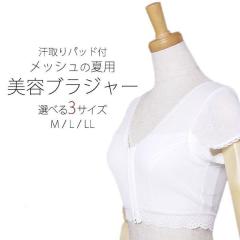 _^ {@Xgb` euW[ Iׂ3TCY Lkn bV hL R M L LL pbht 79cm`101cm Ή y