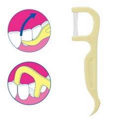 �G�r�X ���L�t���X 30�{����