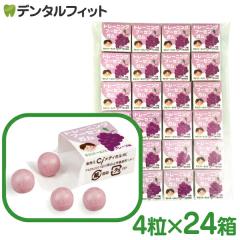 �y���[���֑I���ő��������z���Ȉ�@��p�g���[�j���O �t�[�Z���K��(4���~24��) �O���[�v�� ���D�K�� �L�V���g�[���z�� �Ԃǂ����� �L�V