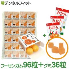 �y���[���֑I���ő��������z�g���[�j���O �t�[�Z���K�� �I�����W�� 24���{BSA �݂���L�V���g�[���O�~ 3��(12��/��)�y���Ȉ�@��p �L�V