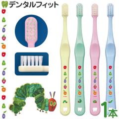 Ci shuwa shuwa �͂�؂������ނ��� M�ӂ� 1�{ ���G���͂��܂����ƂȂ�܂� �y�q���p Ci���f�B�J�� ���u���V �V�����V���� ���c�� ����