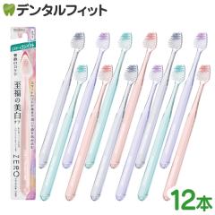 �G�r�X �[���v���~�A���P�A �n�u���V �X�}�[�g�R���p�N�g(B-3651M) 12�{�y EBiSU ZERO PREMIUM CARE ���u���V ��[��׃w�b�h ���L 6�� 2