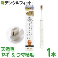 �~�K�P���f MIGAKENDE �_�炩���V�R�ю��u���V ���^���p ���M���E�}�A�� �_�炩�{�����S�n 1�{ �y �y�b�g�p �\�t�g �_�炩�� �n�u���V �V