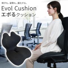 �V�[�g�N�b�V���� �G�{��N�b�V���� �y������ł͂Ȃ��x������ς���zEvolcushion �֎q �N�b�V���� ��̌^ ���� �p�� �ᔽ�� �f�X�N���[
