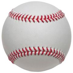 三和体育 バレ-ネット6ニンセイトワロンA バレーネット (s3711)の通販