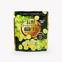 VC}XJbgO~iMB̂yY َq mَq  O~LfB[ ݂₰  XC[c 쌧 yY 