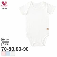 Ԍ20%OFF y[15zR[ xr[ Ȃ߂炩G p[X (g70`80cm 80`90cm)BGS485