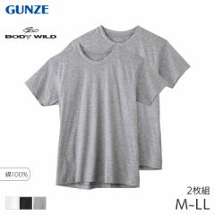 10%OFF グンゼ ボディワイルド クルーネックTシャツ 2枚組(M L LL)BW5013A【メール便30】