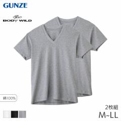 10%OFF グンゼ ボディワイルド VネックTシャツ 2枚組(M L LL)BW5015A【メール便30】