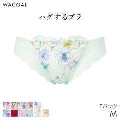 22%OFF ���R�[�� �n�O����u�� �V���[�c �͂����ݏ䂠���� T�o�b�N�V���[�c(M)PXB478�y���[����03�z