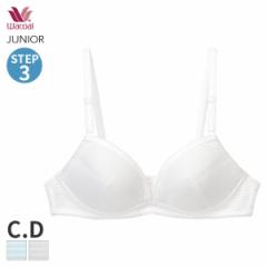 期間限定20%OFF ワコール ジュニア ステップ3 ガールズ ブラジャー 3/4カップ(C D)CFX387