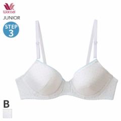 期間限定20%OFF ワコール ジュニア ステップ3 ガールズ ブラジャー 3/4カップ(B)CFX398