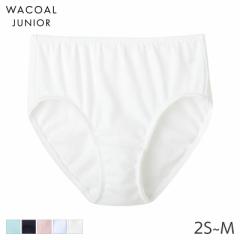 期間限定20%OFF ワコール ジュニア ファーストブラ ガールズ ショーツ ハーフ ノーマル(2S S M)CZQ530【メール便04】
