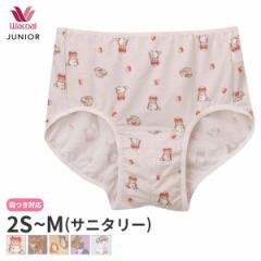 Ԍ18%OFF y[06zR[ WjA ji K[Y Tj^[V[c t@[Xg^Cv n[t m[}(2S S MTC