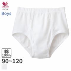 期間限定20%OFF ワコール キッズ なめらか研究所 ボーイズ ブリーフ(90 100 110 120)CPX106【メール便04】