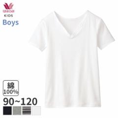 期間限定20%OFF ワコール キッズ なめらか研究所 ボーイズ 半袖インナー Vネック(90 100 110 120)CHV306【メール便10】