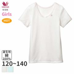 Ԍ20%OFF y[10zR[ LbY  K[Y Ci[ UlbN(120 130 140TCY)CKV340