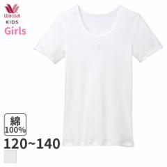 期間限定20%OFF ワコール キッズ なめらか触感 ガールズ 半袖インナー Uネック(120 130 140)CKV104【メール便06】