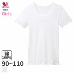 期間限定20%OFF ワコール キッズ なめらか触感 ガールズ 半袖インナー Uネック(90 100 110)CKV104【メール便06】
