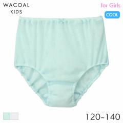 期間限定20%OFF ワコール キッズ さわやか研究所 ガールズ ショーツ はきこみ丈ふかめ ノーマルショーツ(120 130 140)CAQ131【メール便04
