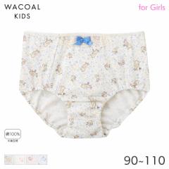 期間限定20%OFF ワコール キッズ ガールズ ショーツ ハーフ ノーマル(90 100 110)CAX178【メール便04】