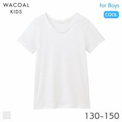 期間限定20%OFF ワコール キッズ さわやか研究所 ボーイズ 半袖インナー Uネック(130 140 150)CHV363【メール便10】